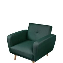 FLORLI - Fauteuil - Groen - Polyester -Leen Bakker Fauteuils a85fe438df744491a89ebd34cee1da5e