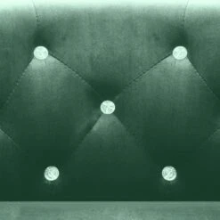 VidaXL Fauteuil Fluweel Groen 6 VidaXL Fauteuil Fluweel Groen -Leen Bakker Fauteuils df6a31e963524035a672f2c986370926